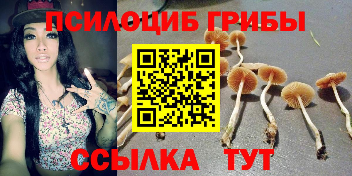 Галлюциногенные грибы MAGIC MUSHROOMS  Вход с VPN  Сокол 