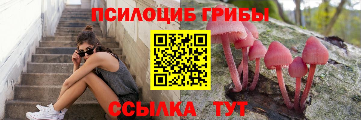 Галлюциногенные грибы Magic Shrooms Сокол